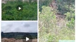 Aktivitas Galian C dan PETI Ditemukan di Sekitar Kebun Anggrek di Desa Logas, Kuansing